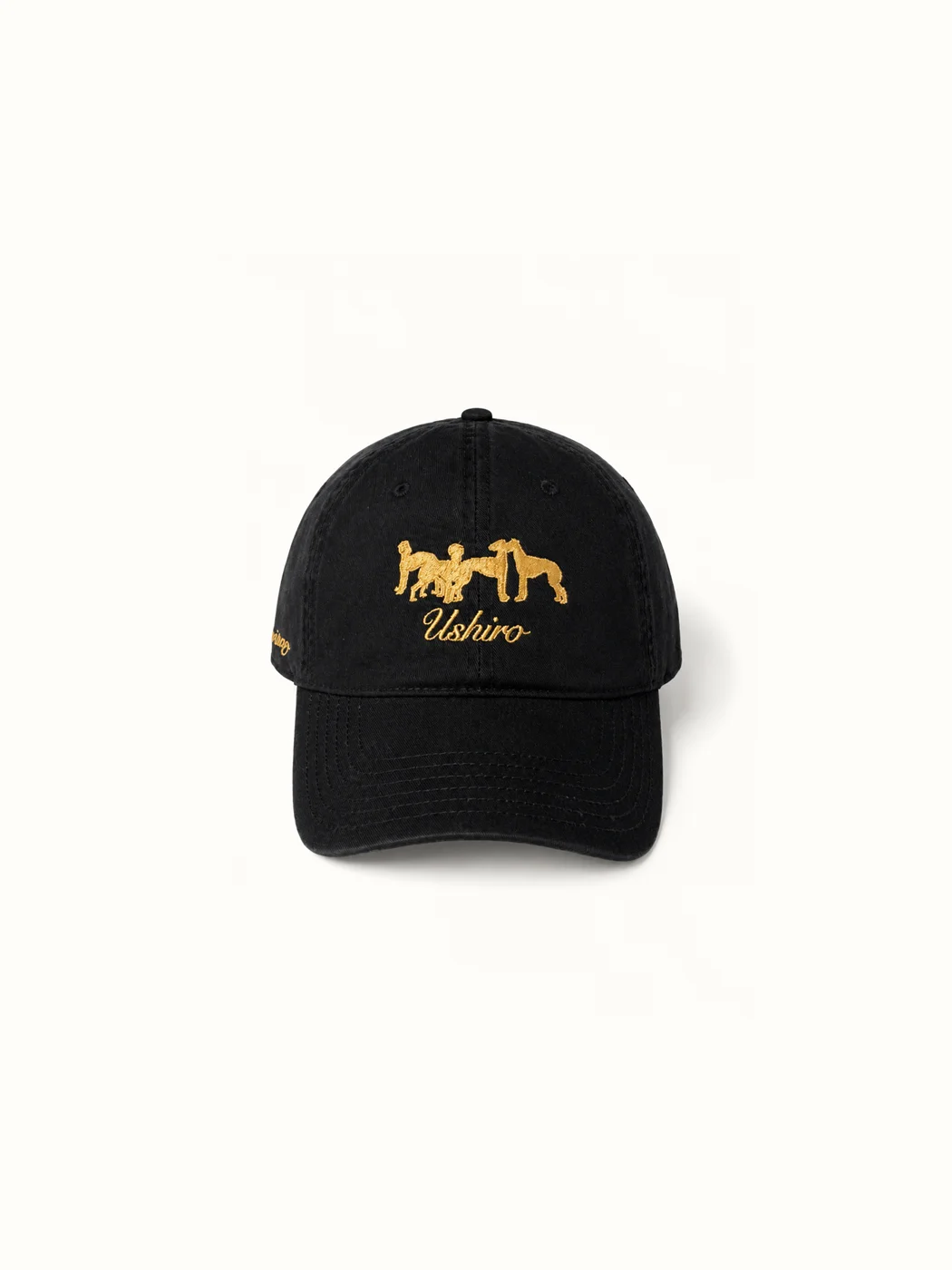 Tazy cap - BLACK